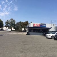 Budget Car Rental ico