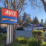 Avis Car Rental