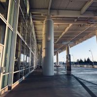 Thrifty Car Rental ico