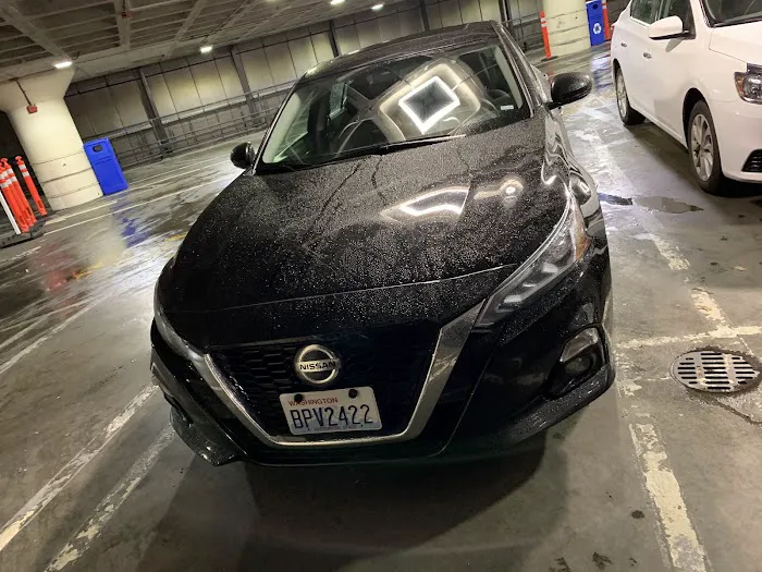 Alamo Rent A Car Picture 5