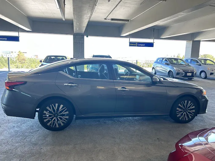 Alamo Rent A Car Picture 10