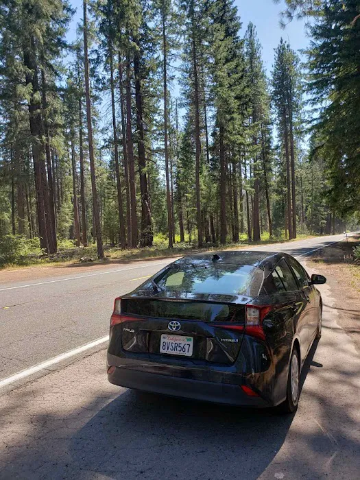 Budget Car Rental Picture 2