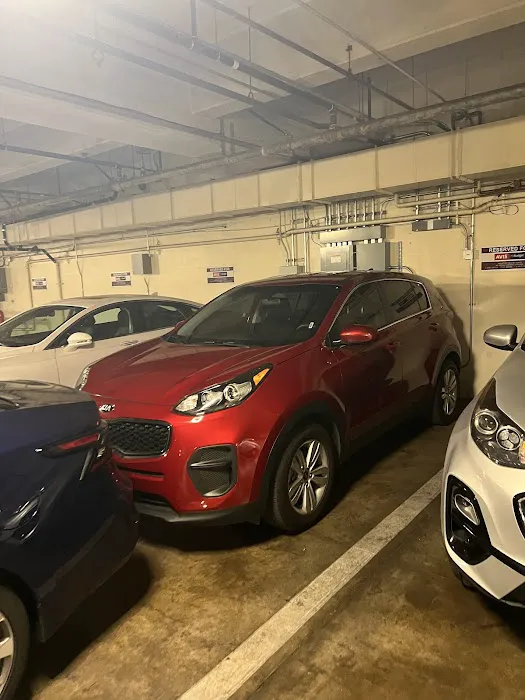 Avis Car Rental Picture 1