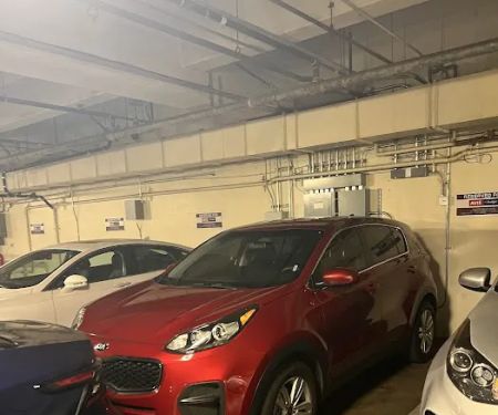 Avis Car Rental