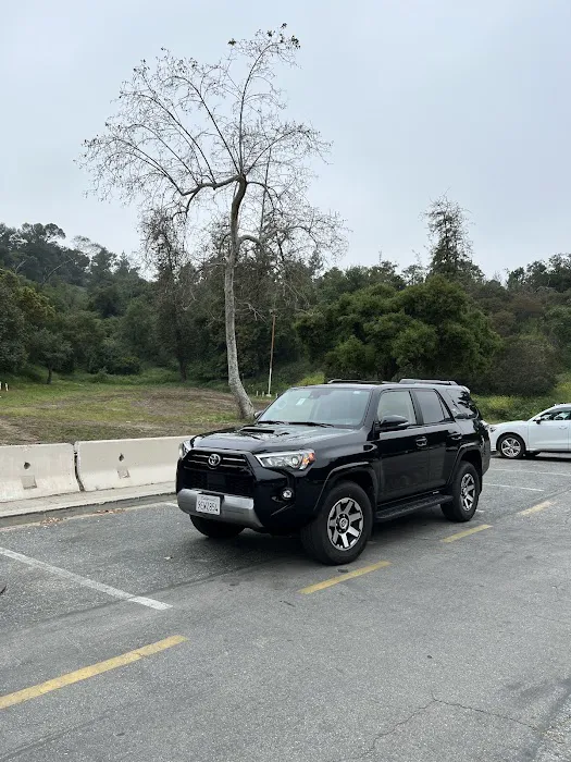 Budget Car Rental Picture 2