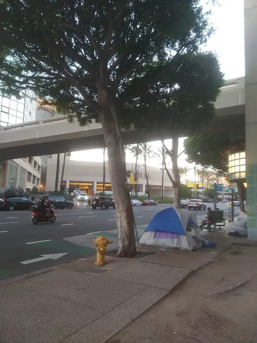 Hertz Car Rental - Los Angeles - Westin Bonaventure Picture 6