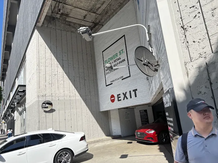 Avis Car Rental Picture 4
