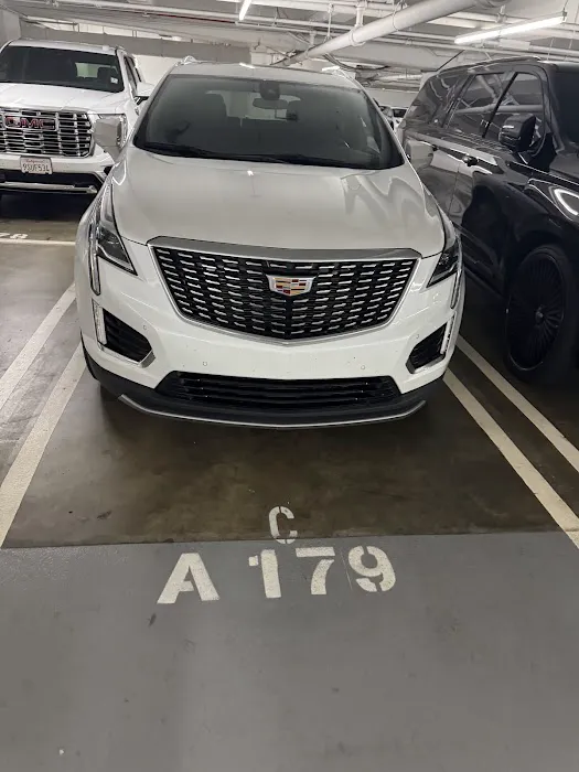 Avis Car Rental Picture 6
