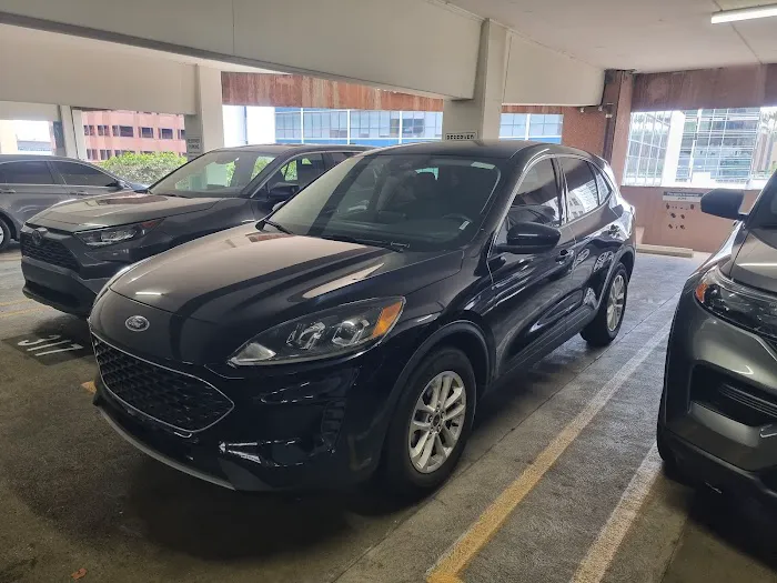 Budget Car Rental Picture 2