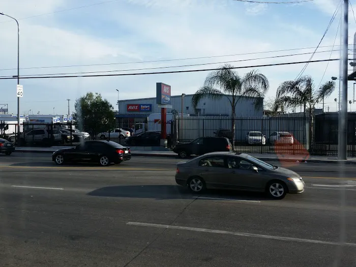 Avis Car Rental Picture 8