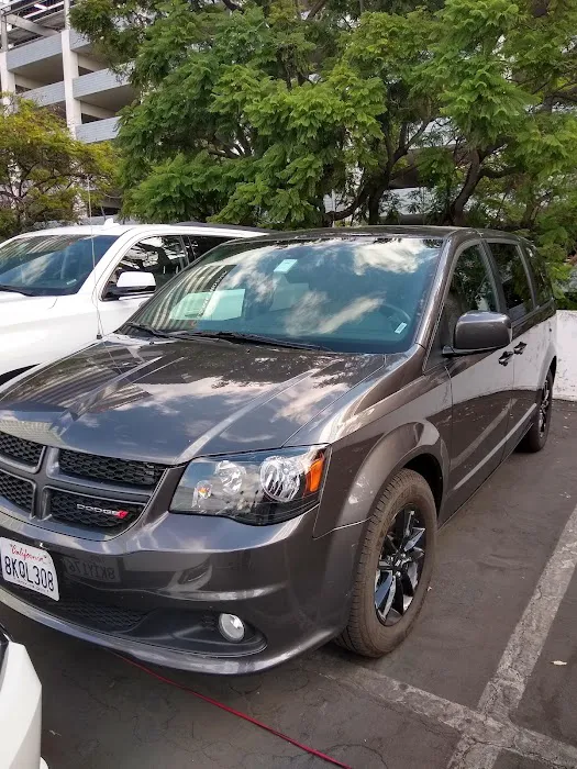 Avis Car Rental Picture 8