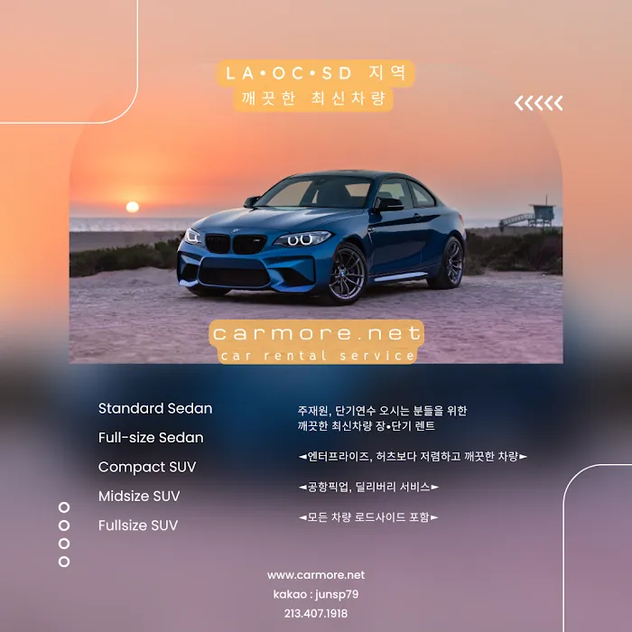 carmore car rental Picture 9
