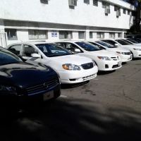 Eco Rent A Car ico