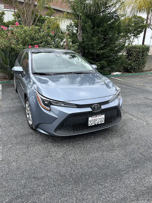 Sakura Rent A Car (Gardena) Picture 4