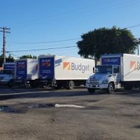 Budget Car Rental ico