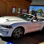 Avis Car Rental