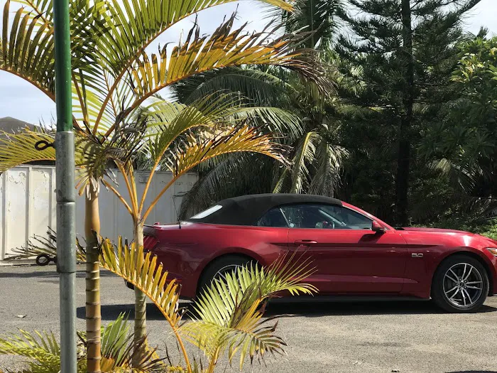 Avis Car Rental Picture 8