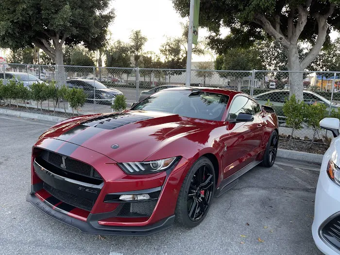 LA Auto Spot Picture 1