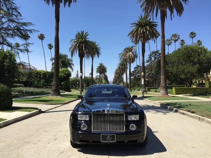Lion Heart Lifestyle Picture 4