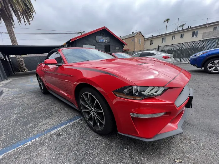 Rentex rent a car Picture 5