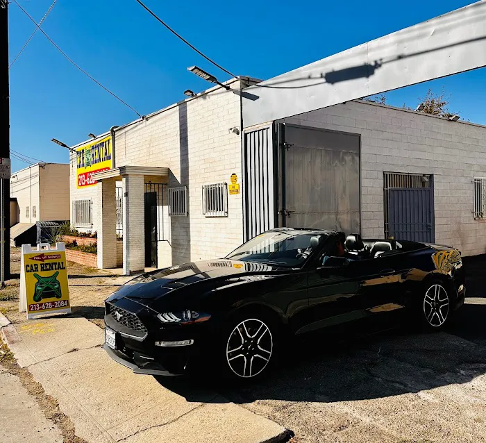 Car X Rental Picture 2