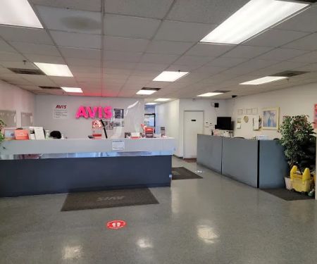 Avis Car Rental
