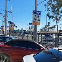 Budget Car Rental ico