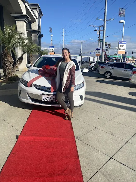 Budget Car Rental Picture 4