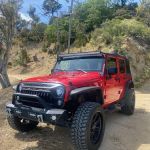 Paradise Dream Cars
