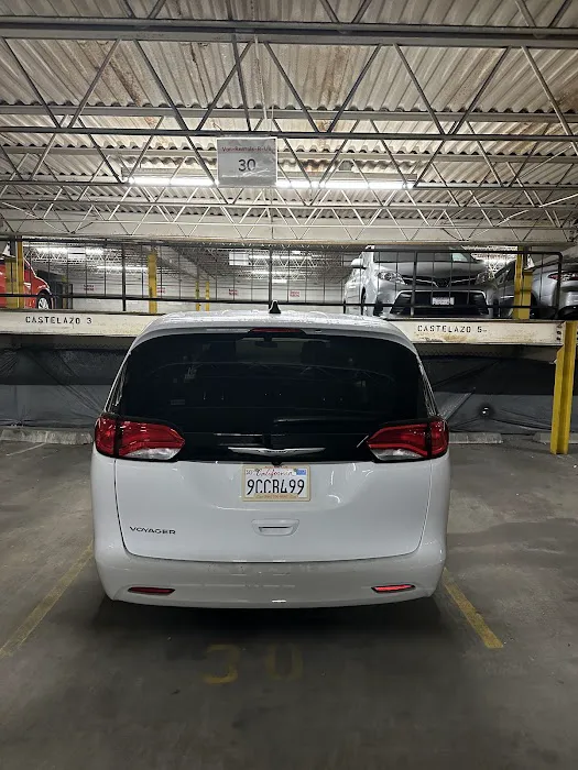 Rex Luxury Car Rental Picture 2