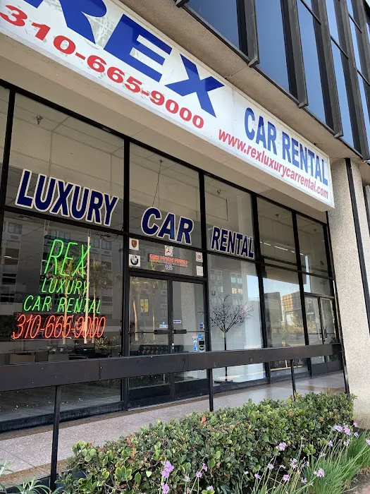 Rex Luxury Car Rental Picture 3