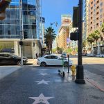 Elite Fleet Automotive
