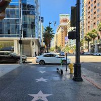 Elite Fleet Automotive ico