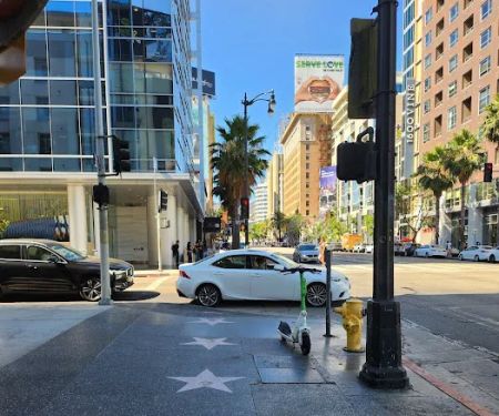 Elite Fleet Automotive