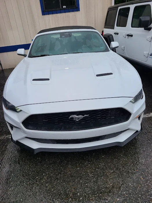 Budget Car Rental Picture 2