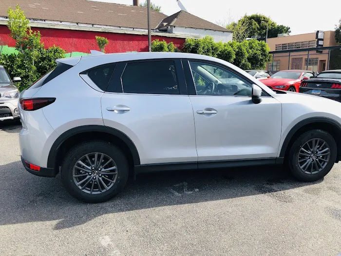 Budget Car Rental Picture 4