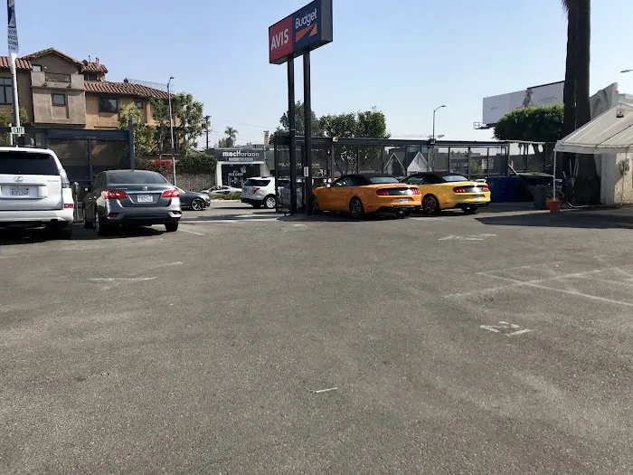 Avis Car Rental Picture 5