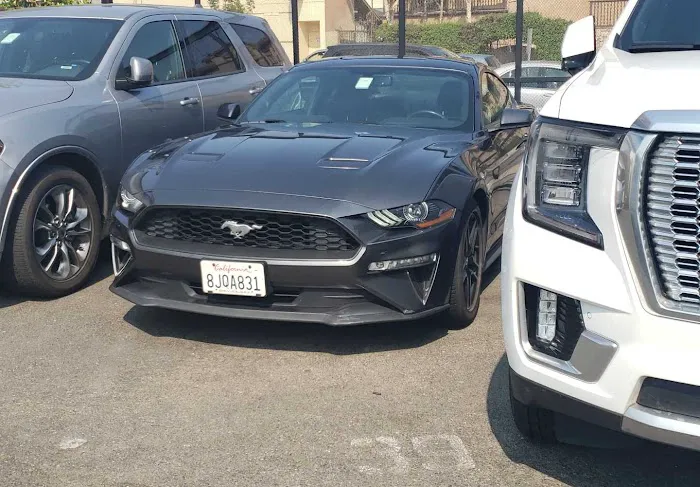 Avis Car Rental Picture 4