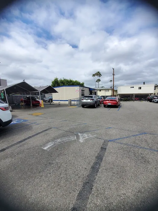 Avis Car Rental Picture 7