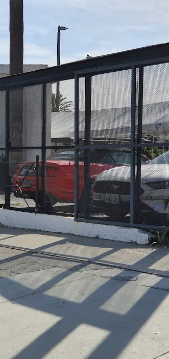 Avis Car Rental Picture 8