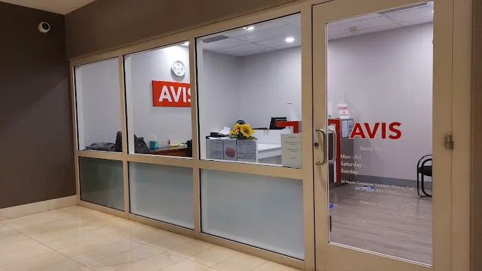 Avis Car Rental Picture 2