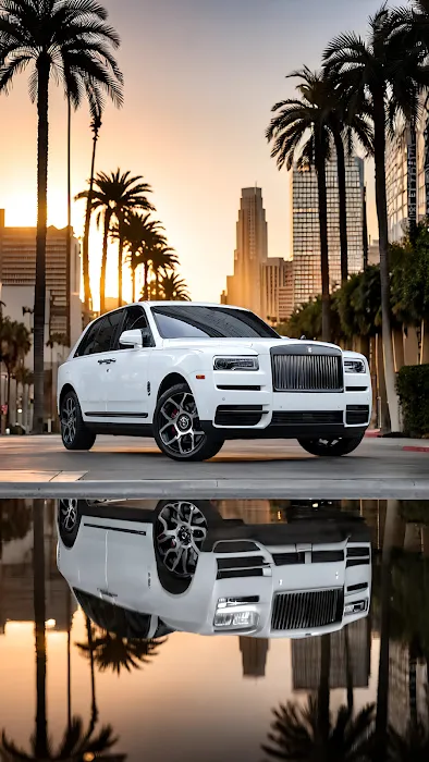 Vu Exotic Car Rentals Picture 3