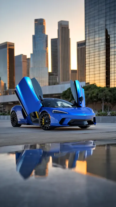 Vu Exotic Car Rentals Picture 2