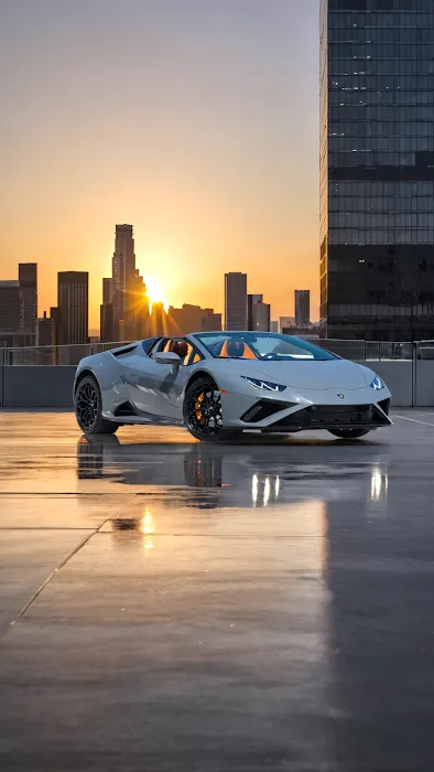 Vu Exotic Car Rentals Picture 1