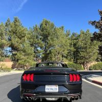 Black & White Car Rental | LAX ico