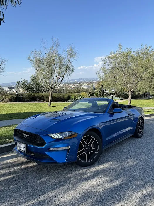 Prime Car Rental Picture 2