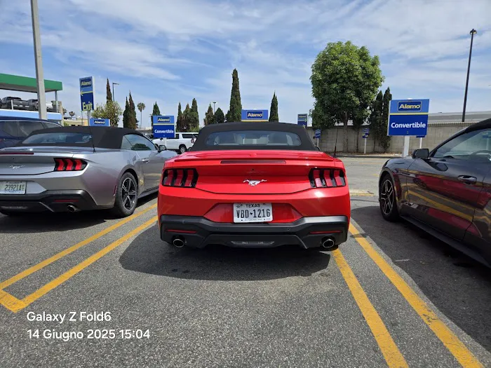 Alamo Rent A Car Picture 3