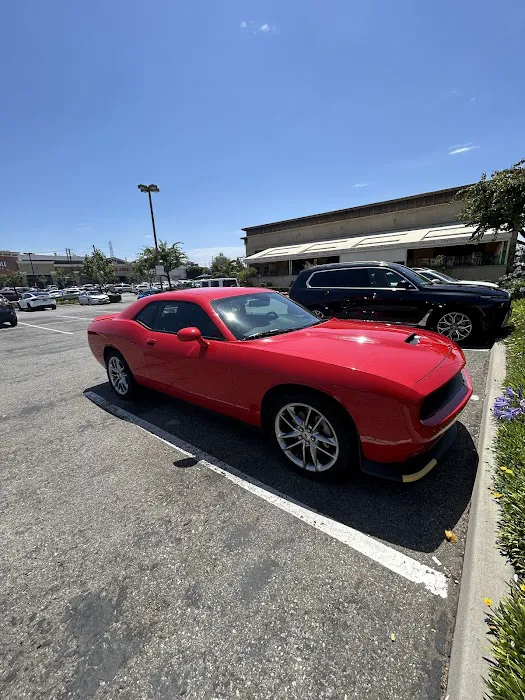 Alamo Rent A Car Picture 7