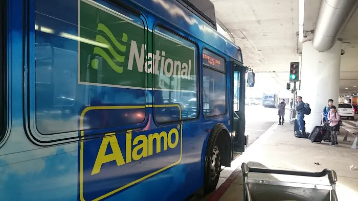 Alamo Rent A Car Picture 4