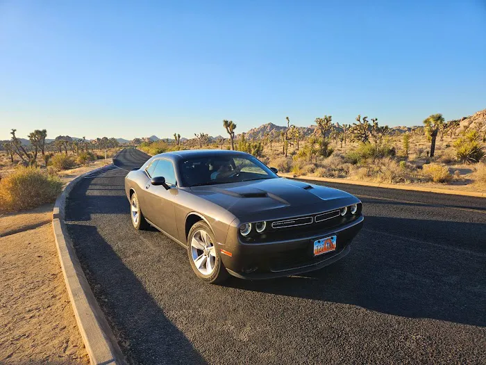Alamo Rent A Car Picture 6